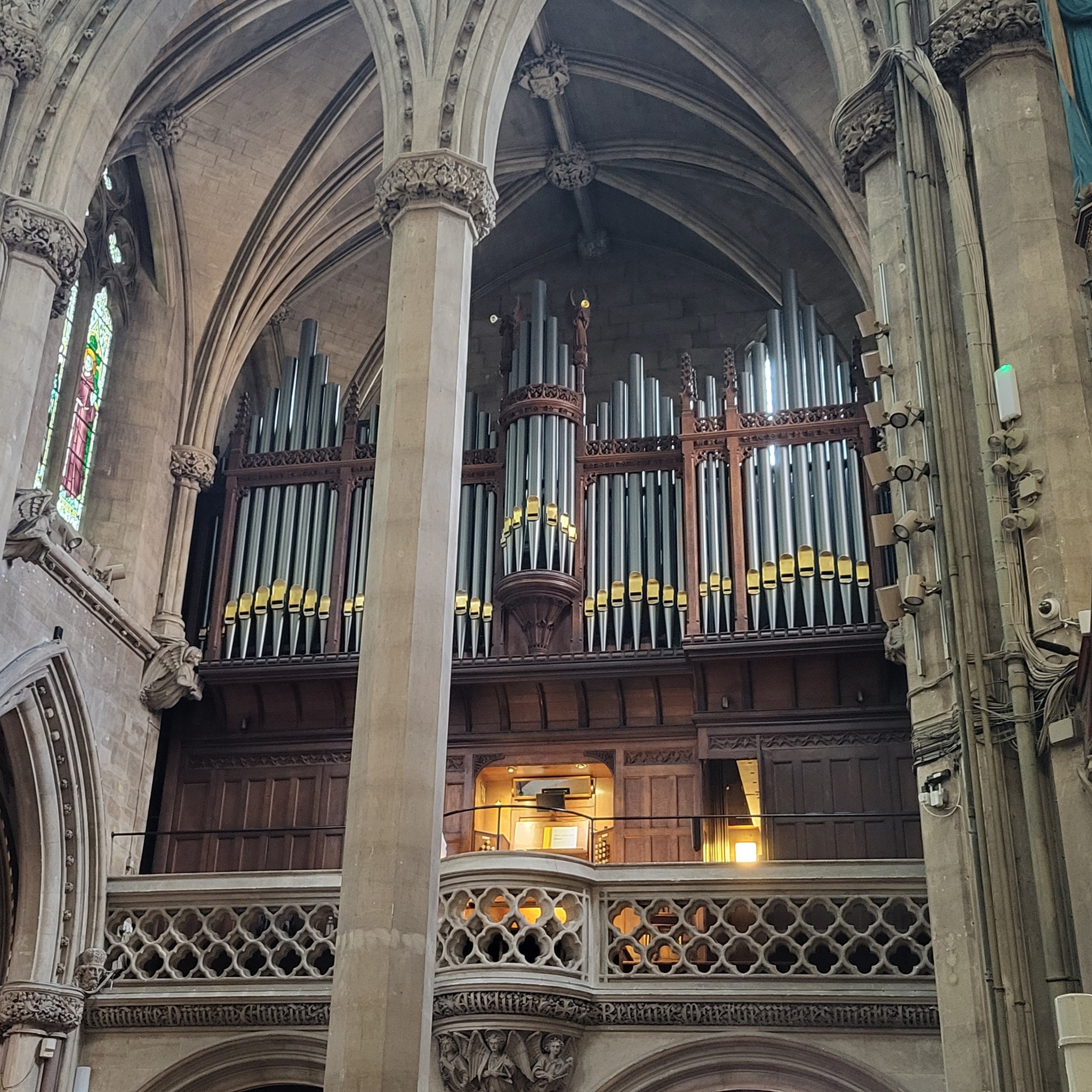 Image: The organ